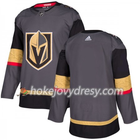 Pánské Hokejový Dres Vegas Golden Knights Blank Adidas 2017-2018 Šedá Authentic